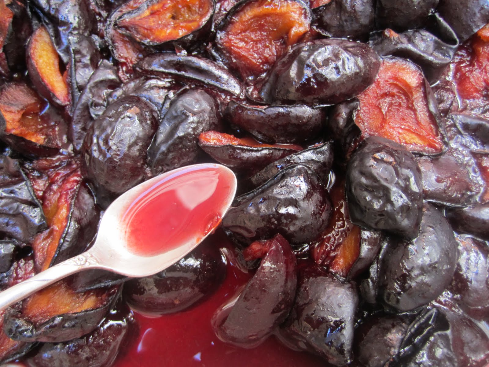 Red Plum Tree