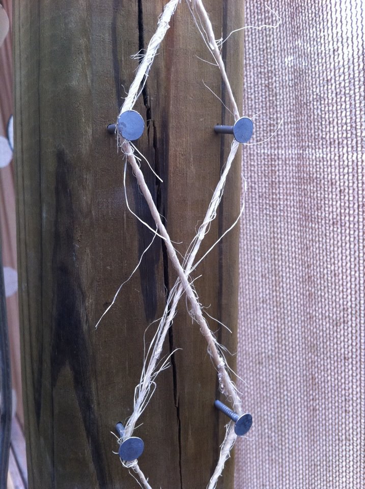 . Micro Project Twine Trellis