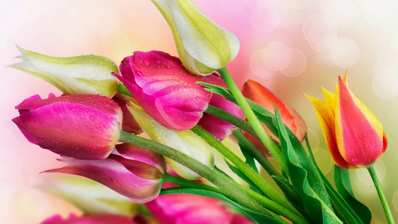 30 Wallpaper Bunga Cantik 30 Wallpaper Bunga Cantik