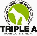 VISITA LA PÁGINA DE TRIPLE A