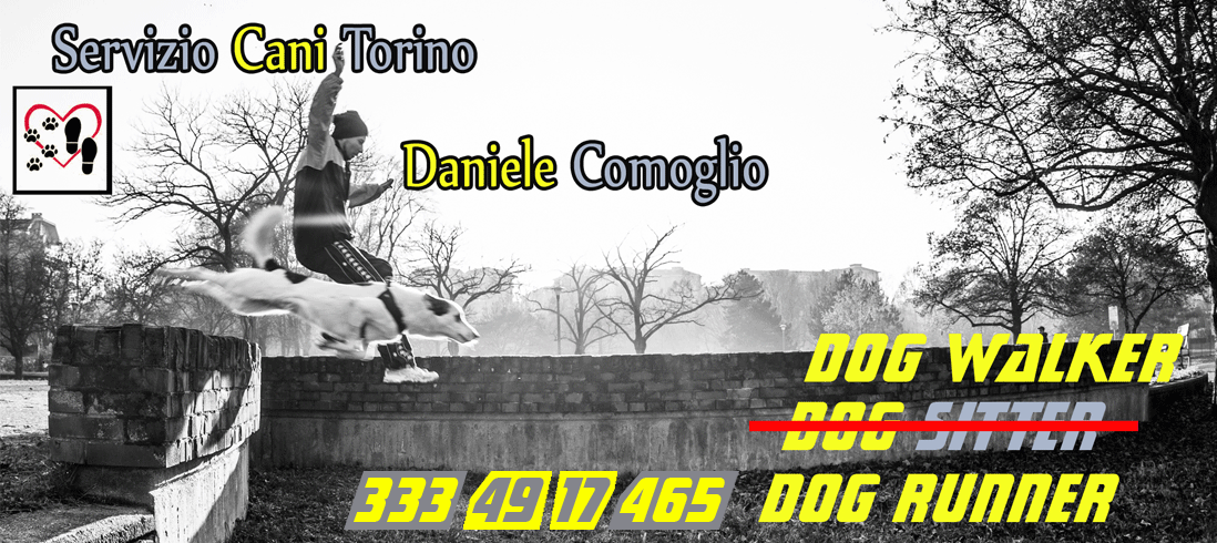 Dog Runner Torino - Servizio Cani Torino