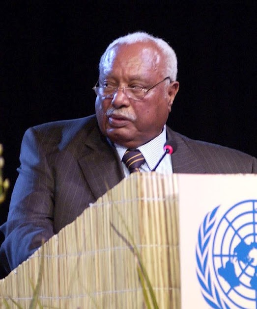 I Was Here.: Girma Wolde-Giorgis