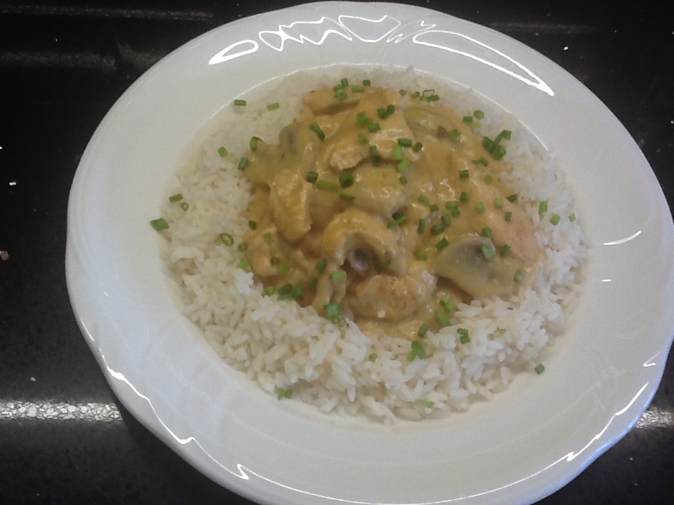 Willie's Daily Dish Chicken Stroganoff with rice