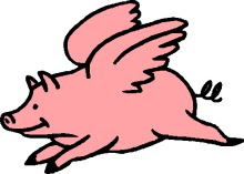 Flying Pig