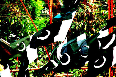 Pakistan Flag Wallpaper 100042 Pakistan Flag, Beautiful Pakistan Flag, Pak Flags, Paki Flag, Pak Flag, Animated Pak Flag, 