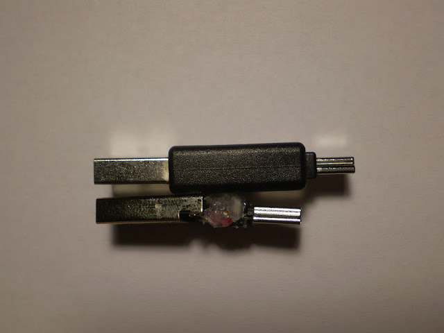 PB070022.JPG
