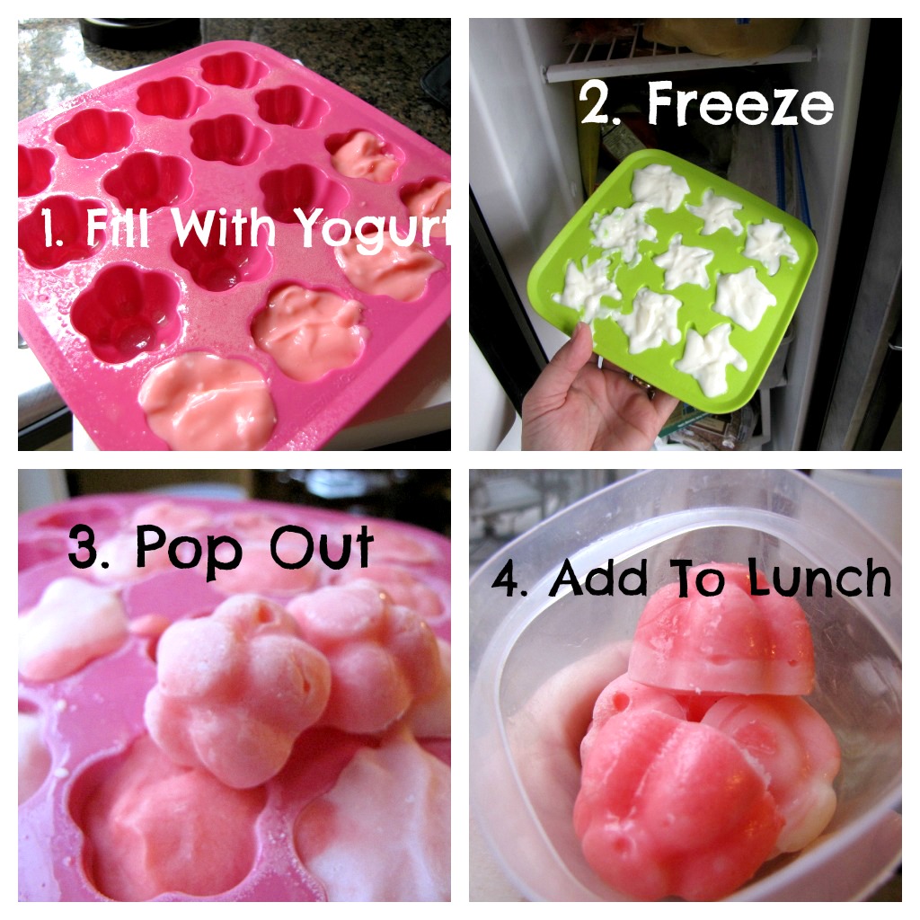 PREPARE TODAY Prepare Today Homemade Frozen Yogurt Bites