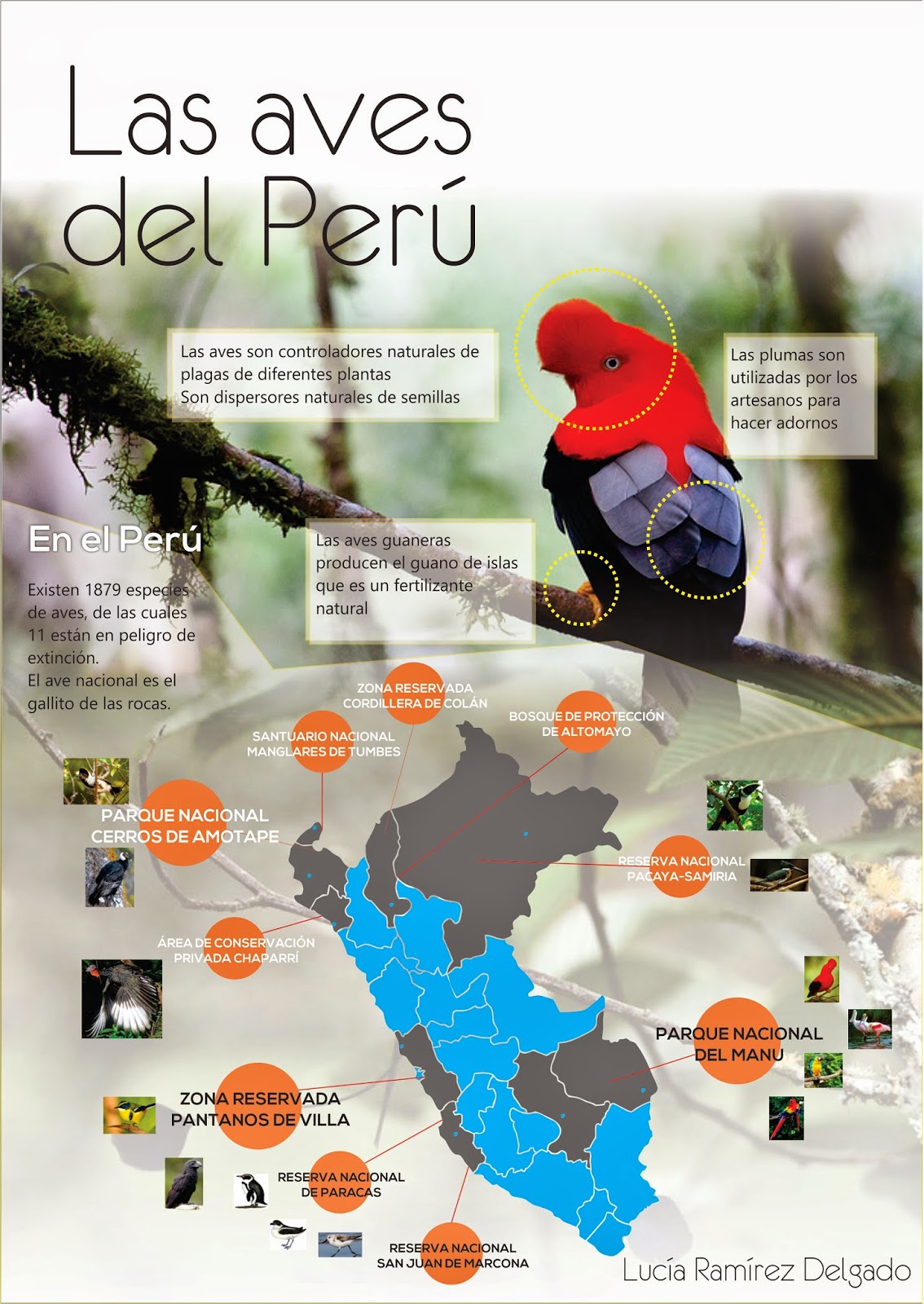 Hacer Historia Las Aves del Perú (Infografías)