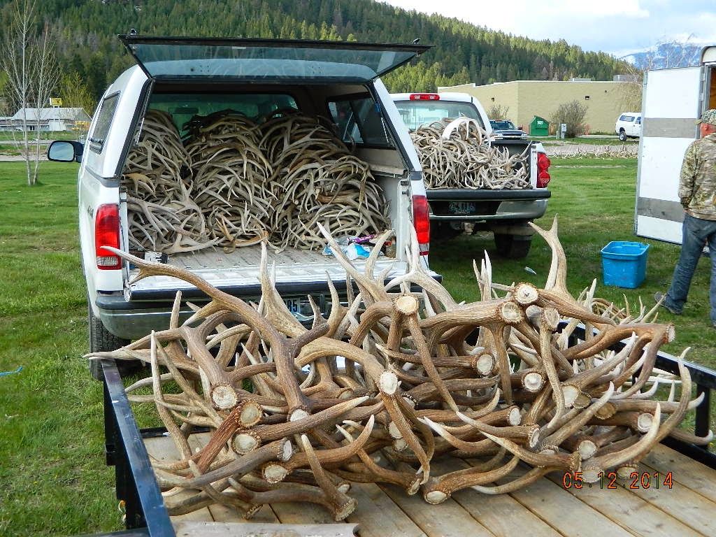 Live SimplyGive MoreNeed Less Living & Exploring Life As A Modern