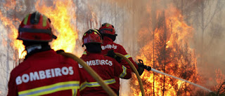 19564028 Incêndio na região de Mangualde