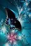 Blue Butterfly!!