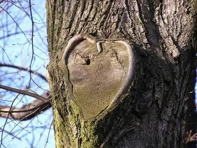 Amor e dúvida