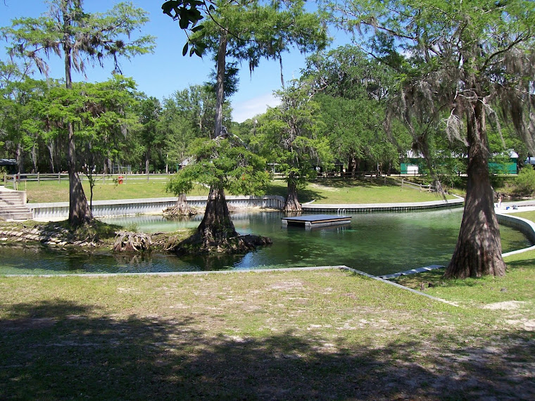 Going Wild In North Florida Hart Springs
