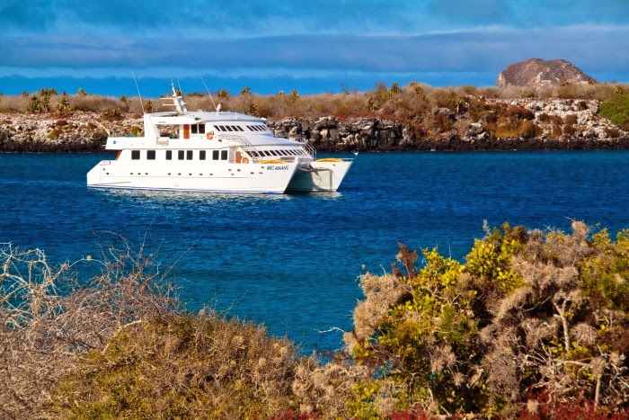 Galapagos Islands - Galapagos Cruises - Galapagos Boats