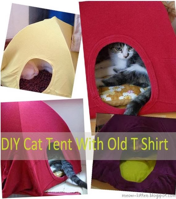 Gooogoook Eski Tişörtten Kedi Evi