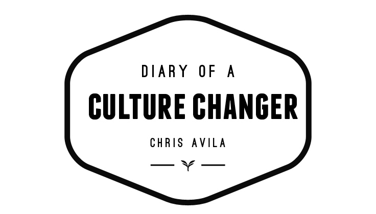 Diary of a Culture Changer