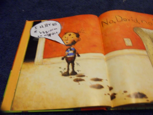 no david book