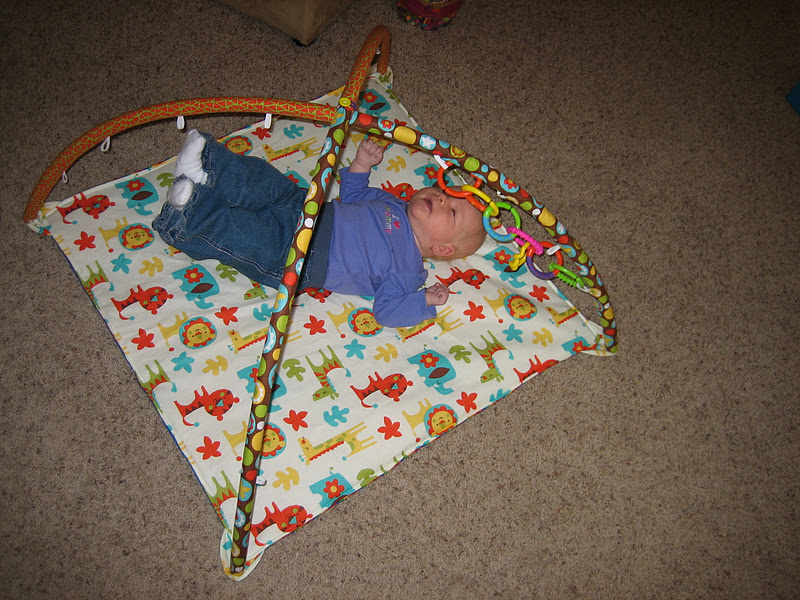 Life Is Just a Bowl of Cherrys DIY Baby Playmat