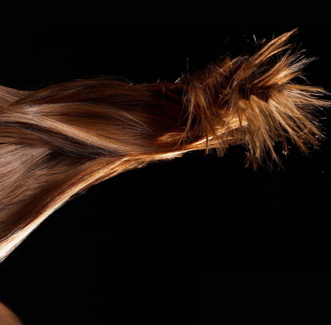 Meri Diary Tips For Soft And Silky Hair In Urdu Hindi