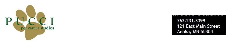 Pucci Pet Career Studios