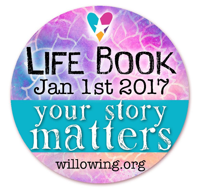 Life Book 2017