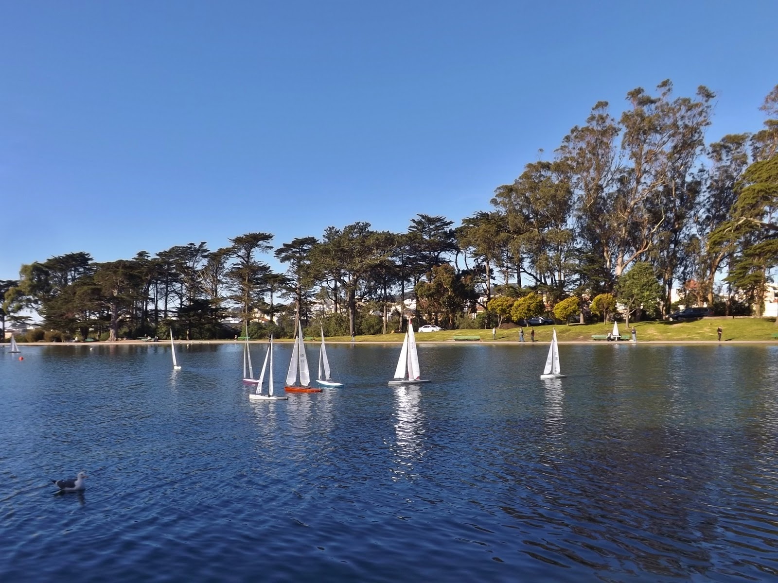 Sundays In My City Spreckels Lake