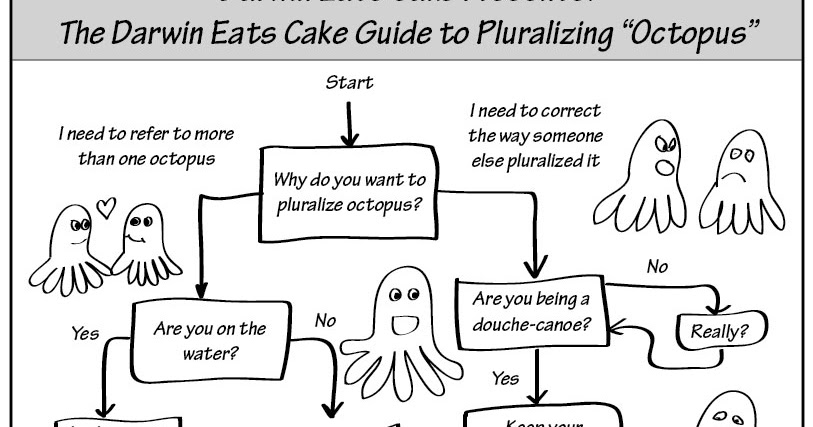 octopus plural octopus plural