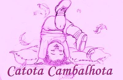 Catota Cambalhota