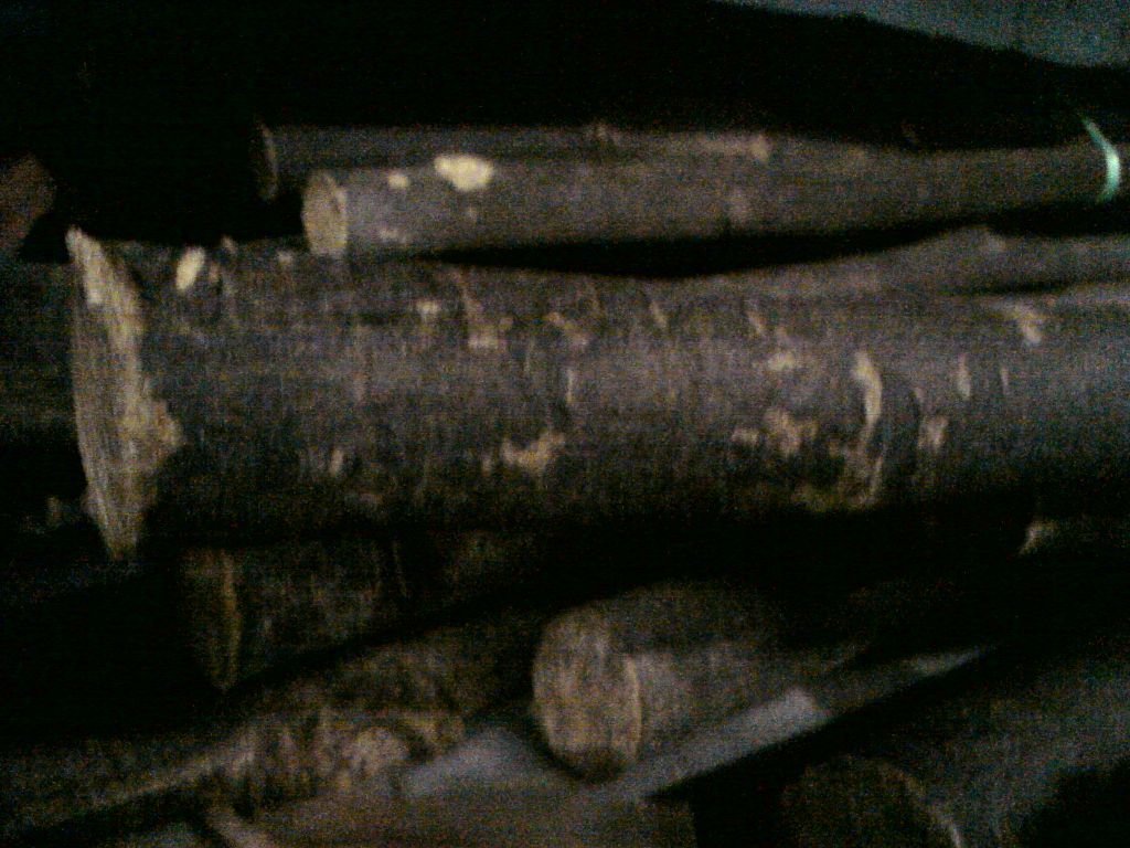 Kayu Tas