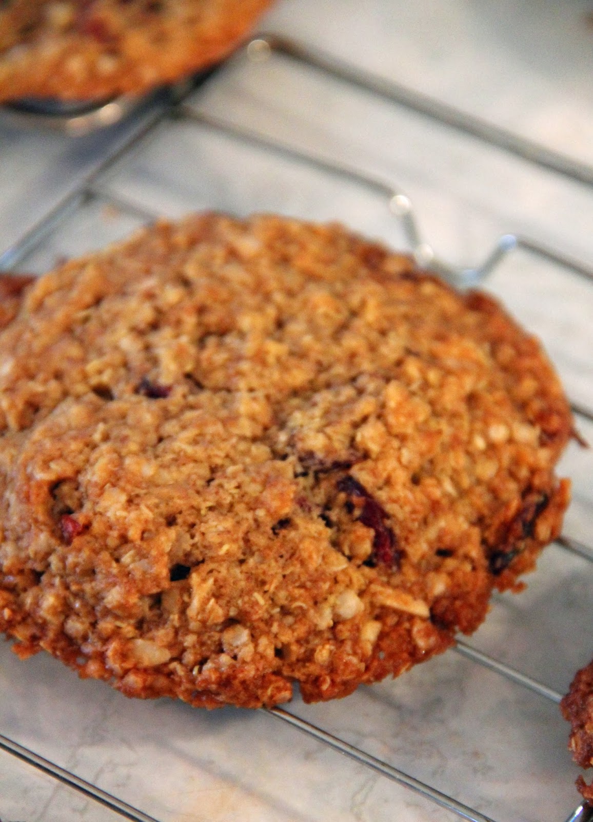 Jo and Sue Quinoa Cranberry Coconut Almond Cookies (vegan)