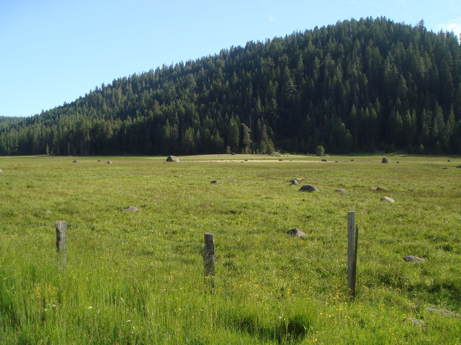 Tom Cochrun /Light Breezes MOUNTAIN MEADOWS