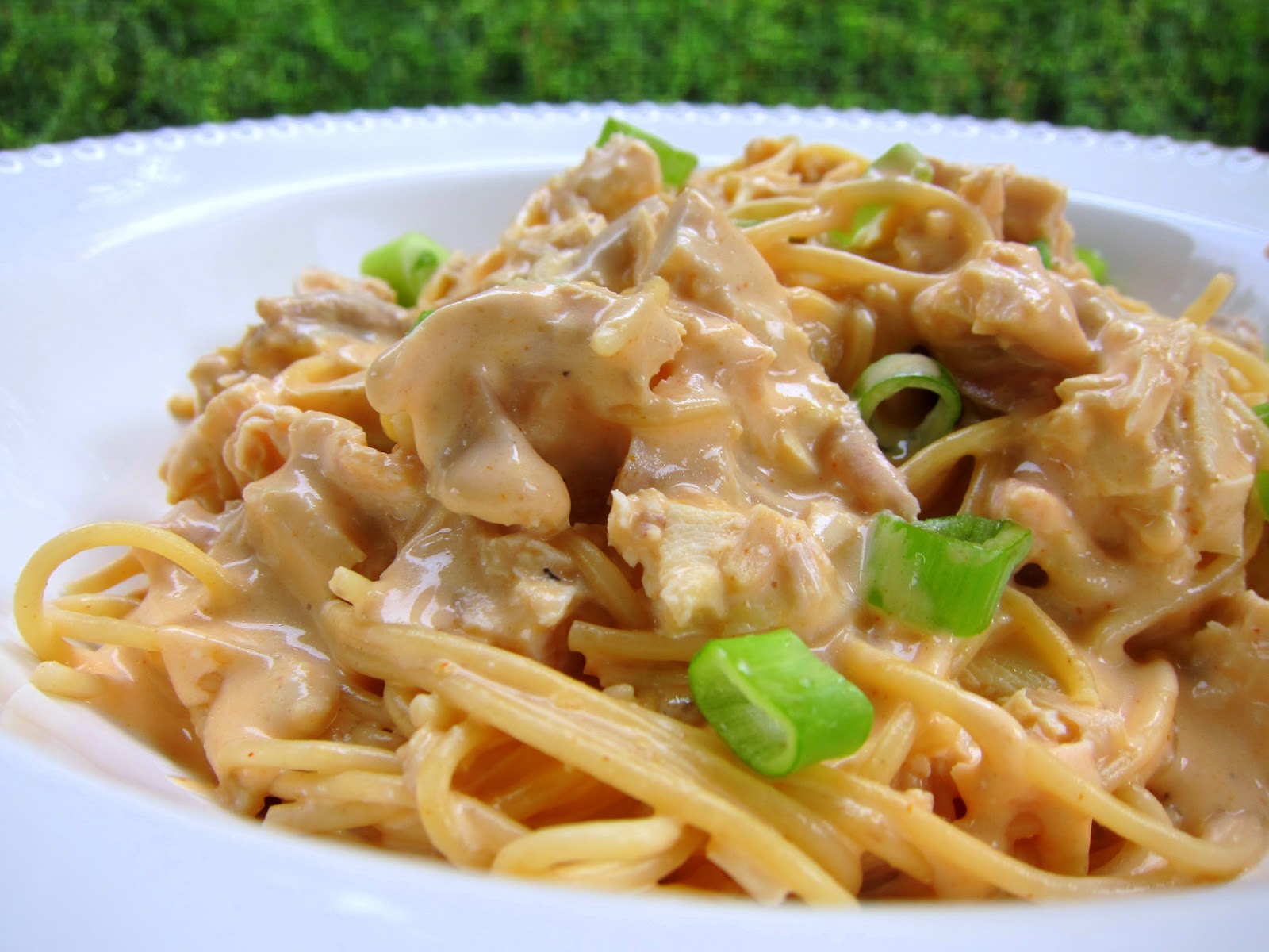 Chicken And Spaghetti