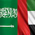 خادم الحرمين الشريفين حريص على العلاقات الإستراتيجية الإماراتية السعودية