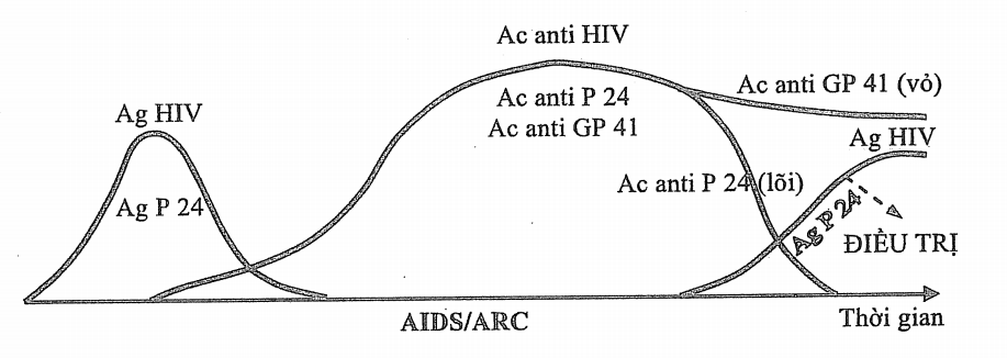 [Image: HIV%2B1.png]