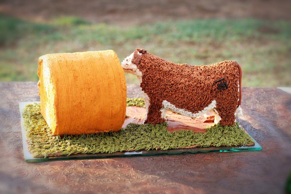 Love it Cow cakes, Farm cake, Grooms cake