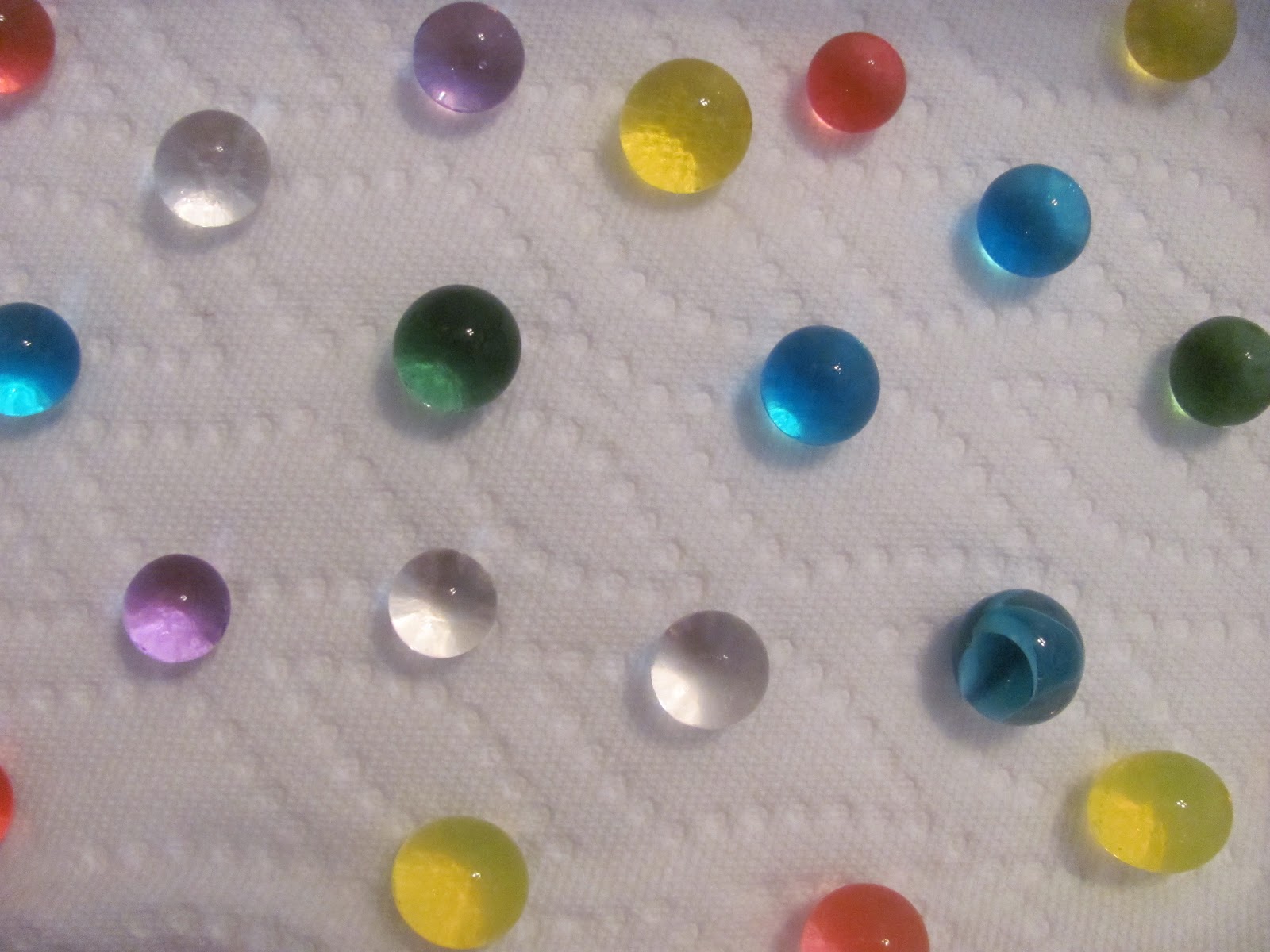 The Chocolate Muffin Tree Experiment Growing And Shrinking Water Beads