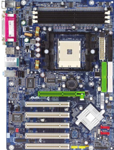 Warranty & Support