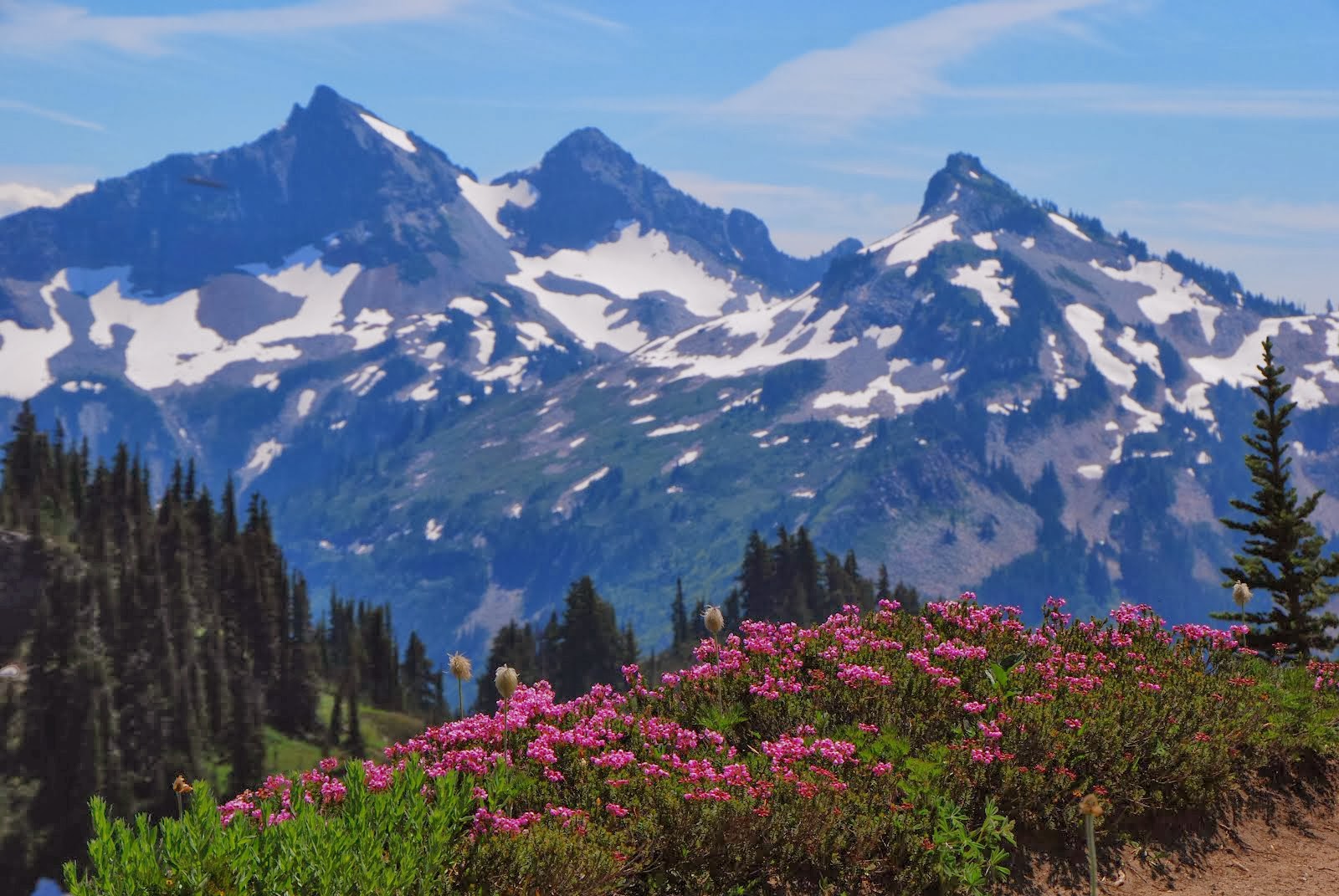 Mount Rainer