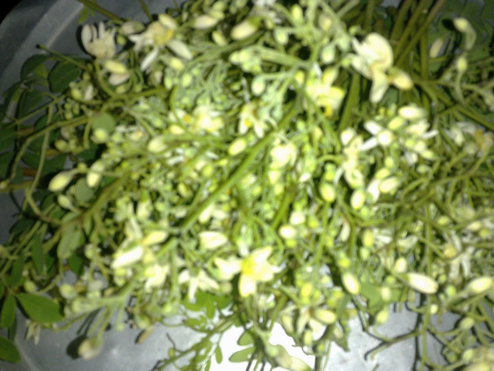 Prabhasekar Drumstick Flower Curry