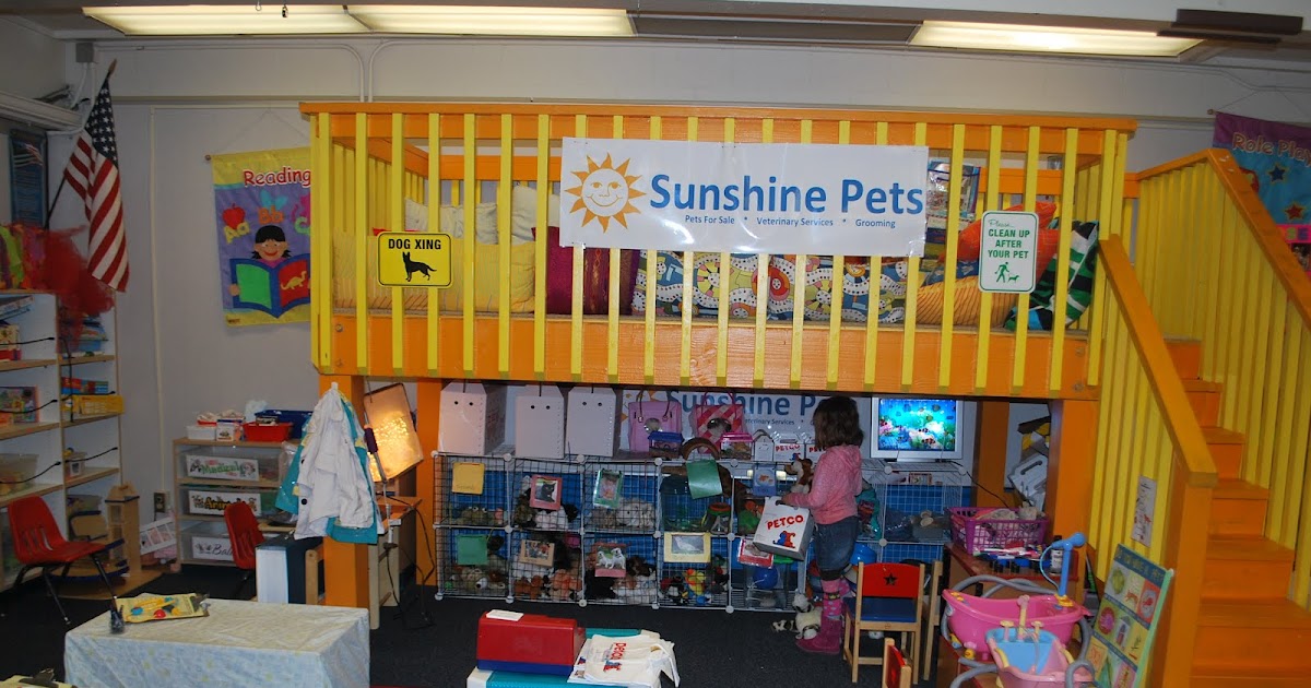 Familylicious Preschool Projects Vet/ Pet Store Imaginary Play