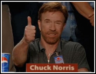chuck+norris+aprova.jpg