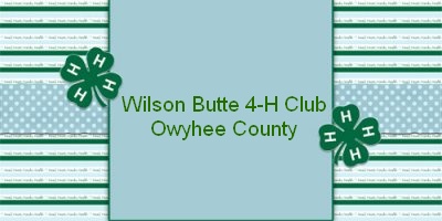 Wilson Butte 4-H Club
