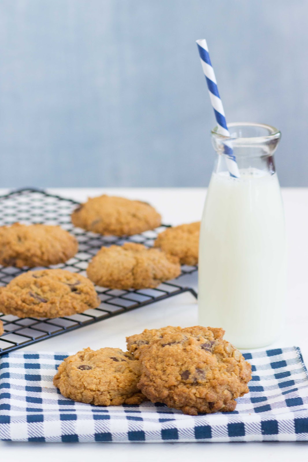 Nut And Seed Free Chocolate Chip Cookies Nut And Seed Free Chocolate Chip Cookies