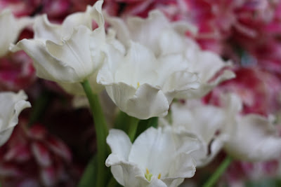 Melbourne International Flower and Garden Show