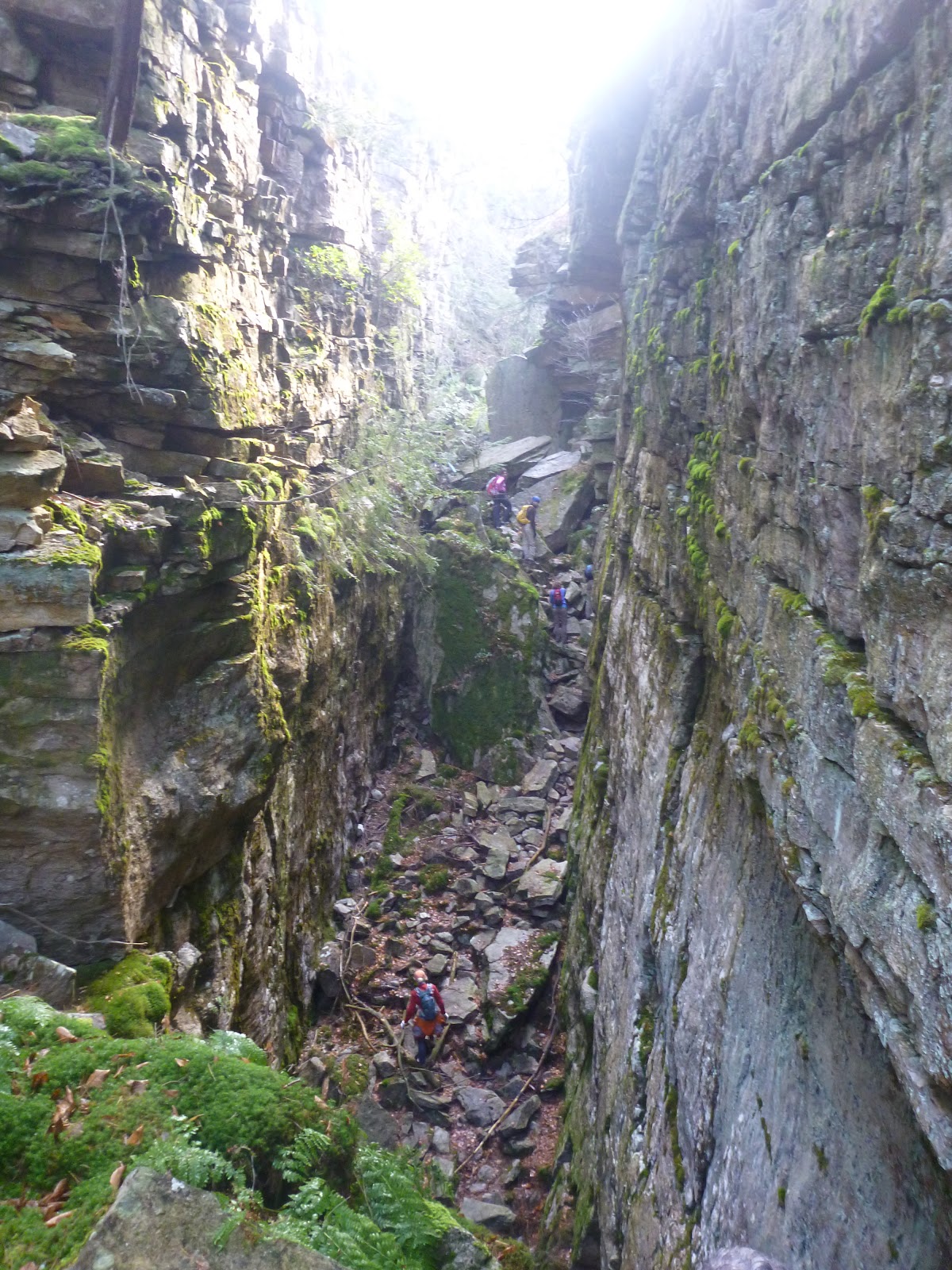 Catskill Chris Shingle Gully at Sam's Point Preserve