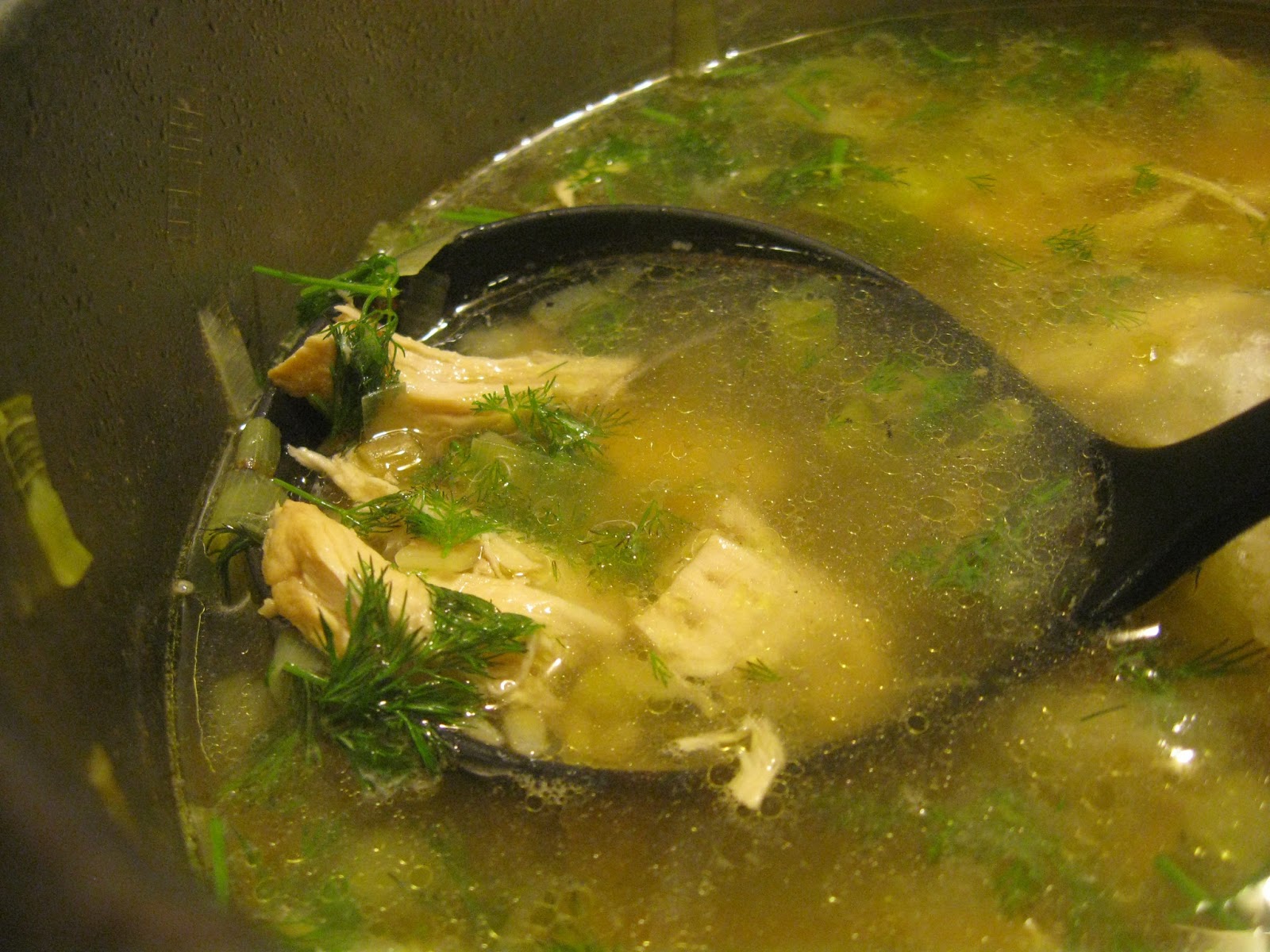 Carpe Cibus Chicken Orzo Soup with Dill and Lemon