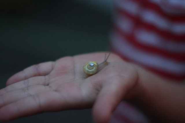 Nunu S Garn Und Stofflabor Mit Haus Auf Abwegen