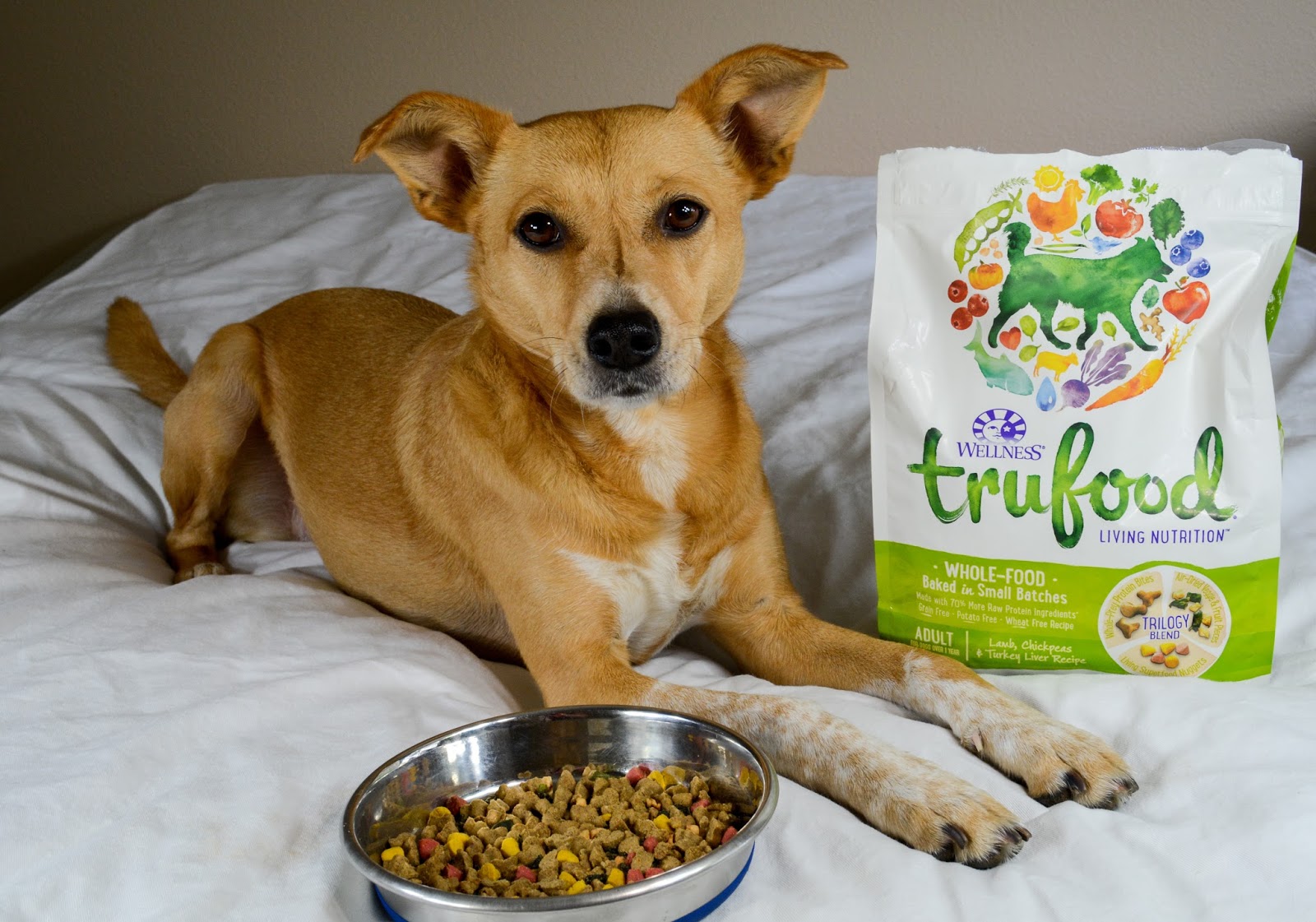 trufood small breed