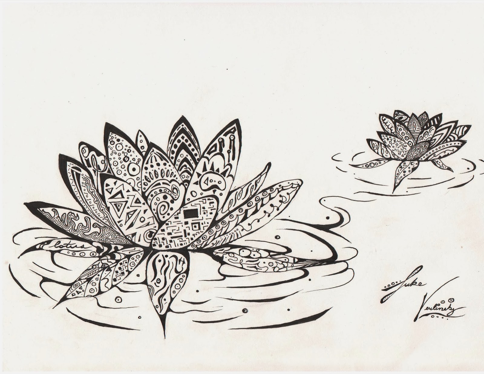 Primal Illustration Lotus Flowers