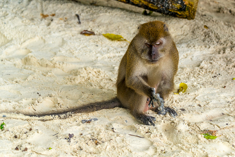 Around the island of Phi Phi